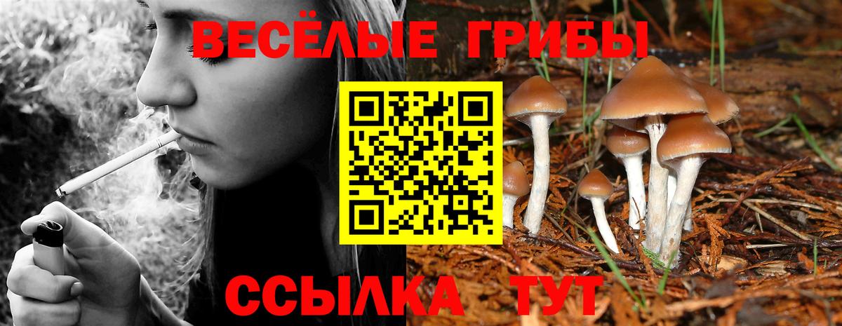 Чайковский  Галлюциногенные грибы MAGIC MUSHROOMS  Галлюциногенные грибы Magic Shrooms  Вход с VPN 